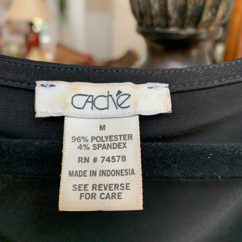 Stunning Cache Top - image 3